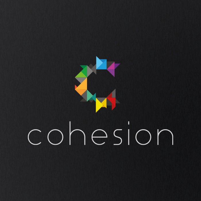 Logo design for Cohesion brand